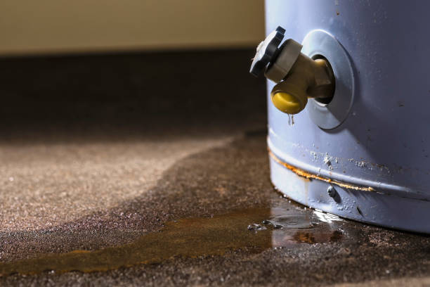 Best 24-hour water damage restoration  in Lake Panasoffkee, FL