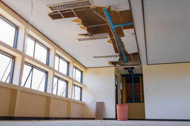 Best Local water damage restoration  in Lake Panasoffkee, FL