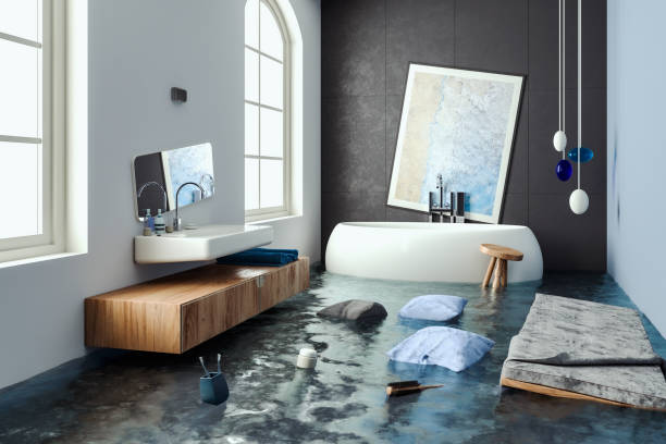 Best Basement water damage restoration  in Lake Panasoffkee, FL