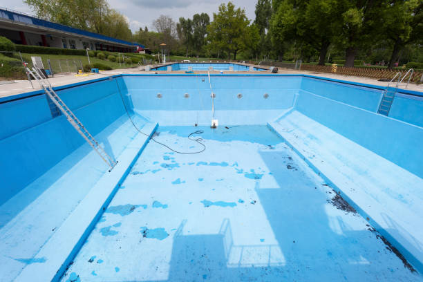 Best Mold removal after water damage  in Lake Panasoffkee, FL