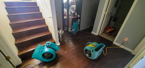 Best Local water damage restoration  in Lake Panasoffkee, FL