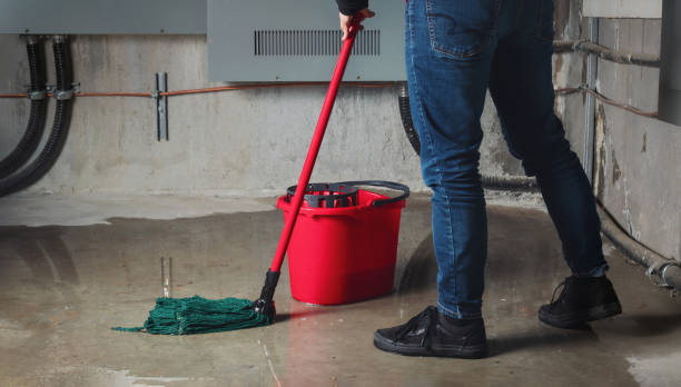 Best Mold removal after water damage  in Lake Panasoffkee, FL