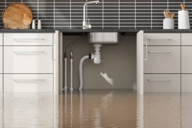 Best Basement water damage restoration  in Lake Panasoffkee, FL