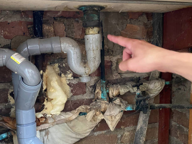 Best Water damage contractors near me  in Lake Panasoffkee, FL