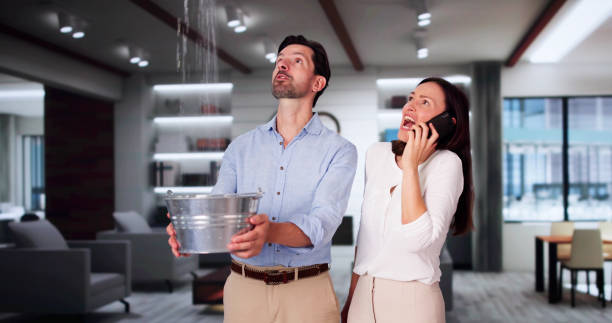Best Ceiling water damage repair  in Lake Panasoffkee, FL