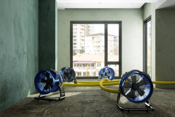 Best Water damage contractors near me  in Lake Panasoffkee, FL